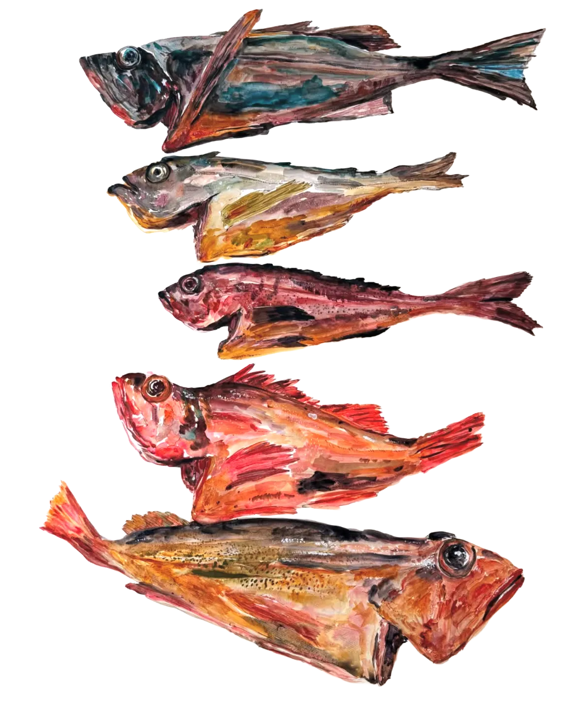 A watercolor painting of five fish stacked on top of each other